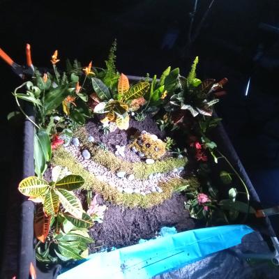 Teracube 20211113 120819 395