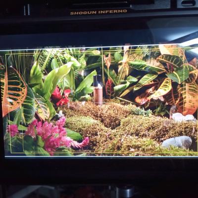 Teracube 20211113 160113 455